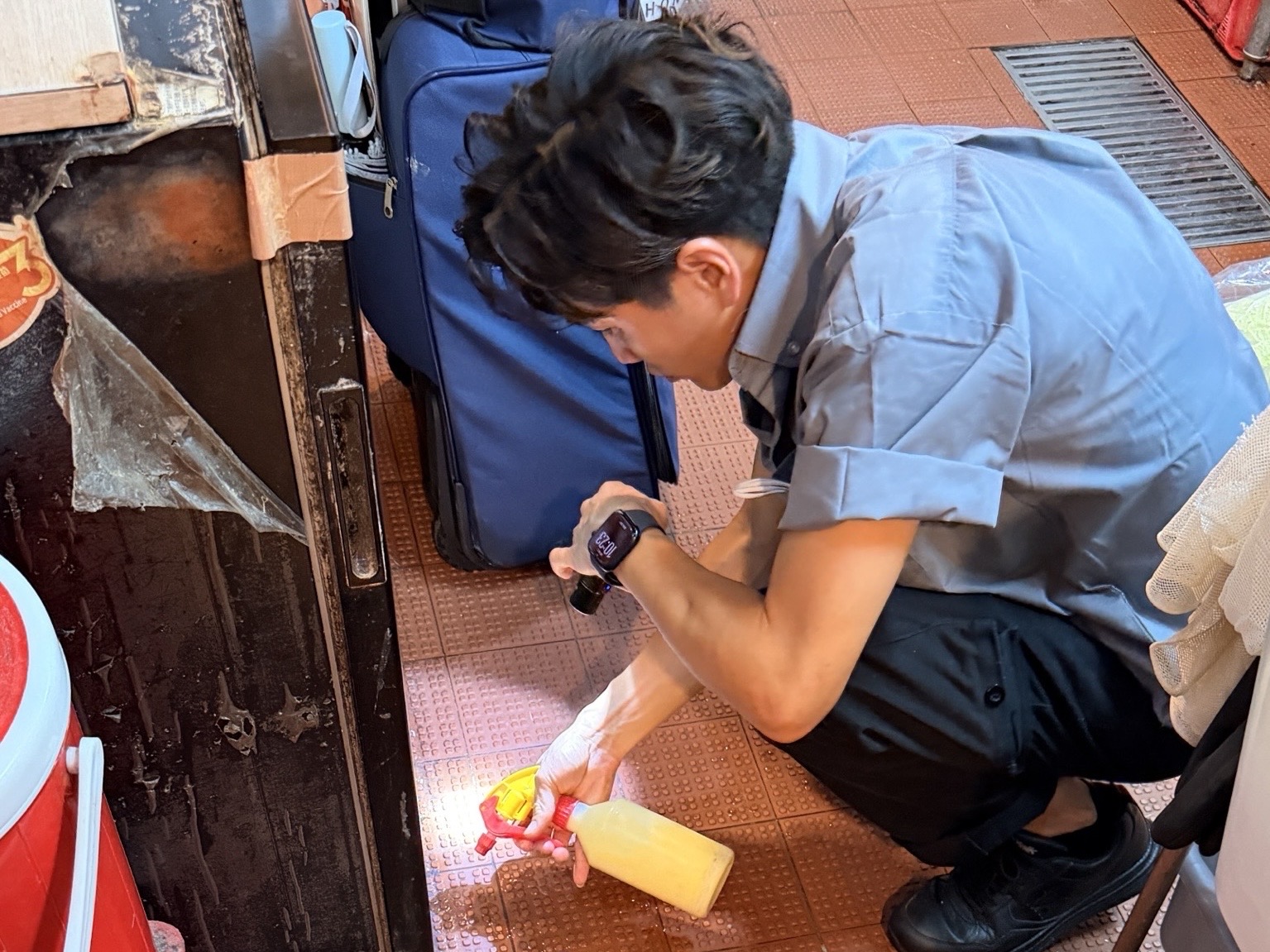 小吃店打烊後，仍有蟑螂出沒